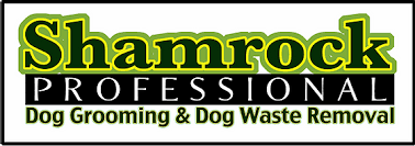 Shamrock Dog Grooming/Dog Day Care